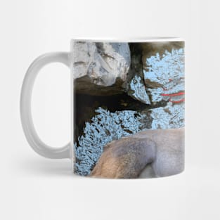 Capricorn / Swiss Artwork Photography Mug